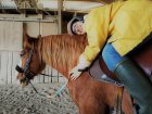 IMG_20190416_150516_2_1.jpg